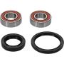 Pivot Works 25-1076-P Honda Wheel Bearing Kit Premium Bearings