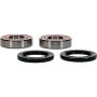 Pivot Works 25-1697-P CF-Moto Wheel Bearing Kit Premium Bearings