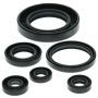 Vertex Pistons 822204 Vertex Gaskets 99-05 Can-Am Traxter 500 Oil Seal Kit