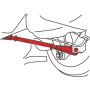 SPECIALTY PRODUCTS COMPANY 67610 MINI-COOPER REAR ADJ ARMS