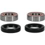 Pivot Works 25-1063-P Eton, Honda, KTM Wheel Bearing Kit Premium Bearings