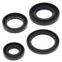 Vertex Pistons 822250 Vertex Gaskets 89-04 Yamaha YFA1 Oil Seal Kit