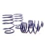 H&R 01-05 BMW 325Xi Sport Wagon E46 Sport Spring