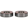 Pivot Works 25-1425-P Gas-Gas, Montesa, Sherco Wheel Bearing Kit Premium Bearings