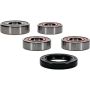 Pivot Works 25-1598-P Honda Wheel Bearing Kit Premium Bearings