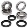 All Balls Racing 24-1088 1993 Polaris 350L 2x4 Crank Shaft Bearing Kit