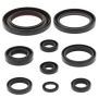 Vertex Pistons 822312 Vertex Gaskets 06-14 Honda TRX450ER Oil Seal Kit