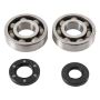 Hot Rods K005 87-01 Kawasaki KX 250 250cc Main Bearing & Seal Kit