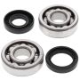 All Balls Racing 24-1063 Crank Bearing Kits