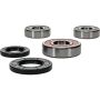 Pivot Works 25-1269-P Suzuki Wheel Bearing Kit Premium Bearings