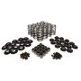 COMP CAMS COM26918CS-KIT Valve Spring Kit - GM LS Beehive