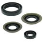 Vertex Pistons 822273 Vertex Gaskets 85-89 Yamaha YFM200 Moto-4 Oil Seal Kit
