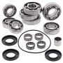 All Balls Racing 25-2092 01-12 Polaris Scrambler 500 4x4 Transaxle Bearing & Seal Kit