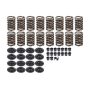 EDELBROCK EDE5794 1.265in Valve Spring Kit - SBC