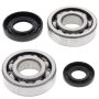 All Balls Racing 24-1029 01-23 Yamaha YZ250 Crank Shaft Bearing Kit