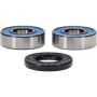 Pivot Works 25-1038-P Wheel Bearing Kit