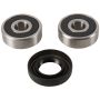 Pivot Works PWFWK-Y18-001 Wheel Bearing Kit
