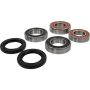 Pivot Works 25-1563-P Honda Wheel Bearing Kit Premium Bearings