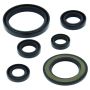 QuadBoss 564302 06-20 Yamaha YFM700R Raptor Oil Seal Set