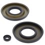 Vertex Pistons 55207 Vertex Gaskets 01-02 Arctic Cat Mountain Cat 800 Oil Seal Kit
