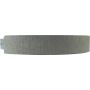 CENTRIC PARTS 111.00620 Centric Premium Brake Shoes