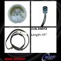 CENTRIC PARTS 116.34072 Centric Brake Pad Sensor Wire