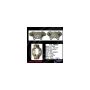 CENTRIC PARTS 141.28003 Centric Semi-Loaded Brake Caliper