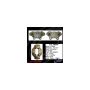 CENTRIC PARTS 141.28004 Centric Semi-Loaded Brake Caliper