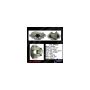 CENTRIC PARTS 141.34530 Centric Semi-Loaded Brake Caliper