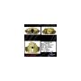 CENTRIC PARTS 141.35126 Centric Semi-Loaded Brake Caliper