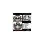 CENTRIC PARTS 141.42060 Centric Semi-Loaded Brake Caliper