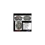 CENTRIC PARTS 141.42082 Centric Semi-Loaded Brake Caliper