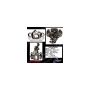 CENTRIC PARTS 141.42522 Centric Semi-Loaded Brake Caliper