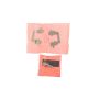 CENTRIC PARTS 141.42586 Centric Semi-Loaded Brake Caliper