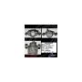 CENTRIC PARTS 141.43102 Centric Semi-Loaded Brake Caliper