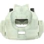 CENTRIC PARTS 141.61156 Centric Semi-Loaded Brake Caliper