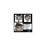 CENTRIC PARTS 141.62060 Centric Semi-Loaded Brake Caliper