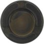 CENTRIC PARTS 145.48020 Centric Phenolic Caliper Piston