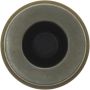 CENTRIC PARTS 145.48022 Centric Phenolic Caliper Piston