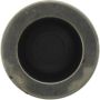 CENTRIC PARTS 145.54003 Centric Phenolic Caliper Piston