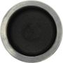CENTRIC PARTS 146.38021 Centric Caliper Piston