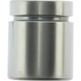 CENTRIC PARTS 146.40032 Centric Caliper Piston