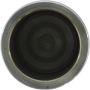CENTRIC PARTS 146.48015 Centric Caliper Piston