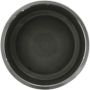 CENTRIC PARTS 146.79002 Centric Caliper Piston