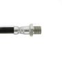 CENTRIC PARTS 150.25000 Centric Brake Hose