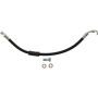 CENTRIC PARTS 150.34331 Centric Brake Hose