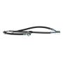 CENTRIC PARTS 150.42078 Centric Brake Hose