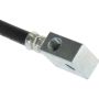 CENTRIC PARTS 150.42081 Centric Brake Hose