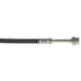 CENTRIC PARTS 150.50036 Centric Brake Hose
