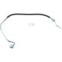 CENTRIC PARTS 150.61359 Centric Brake Hose